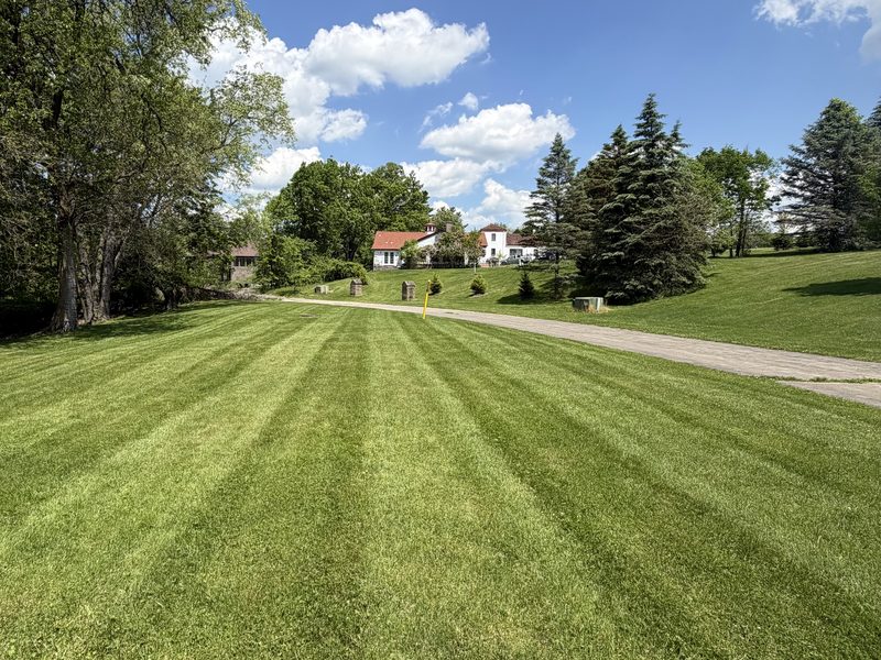 Large open lawn with fresh mower stripes running toward a tree line