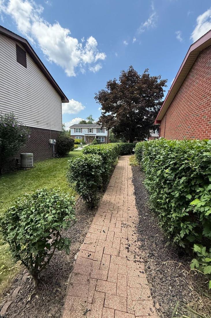 Trimmed hedges lining a clear brick walkway between two homes