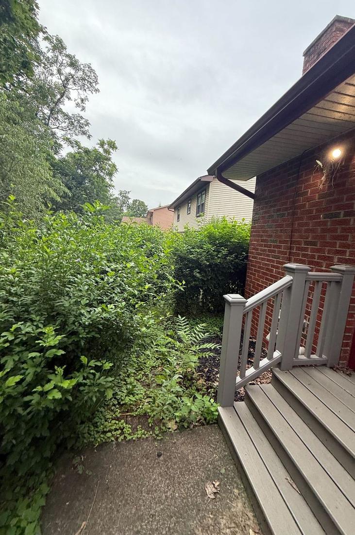 Overgrown shrubs crowding a back deck and stairs