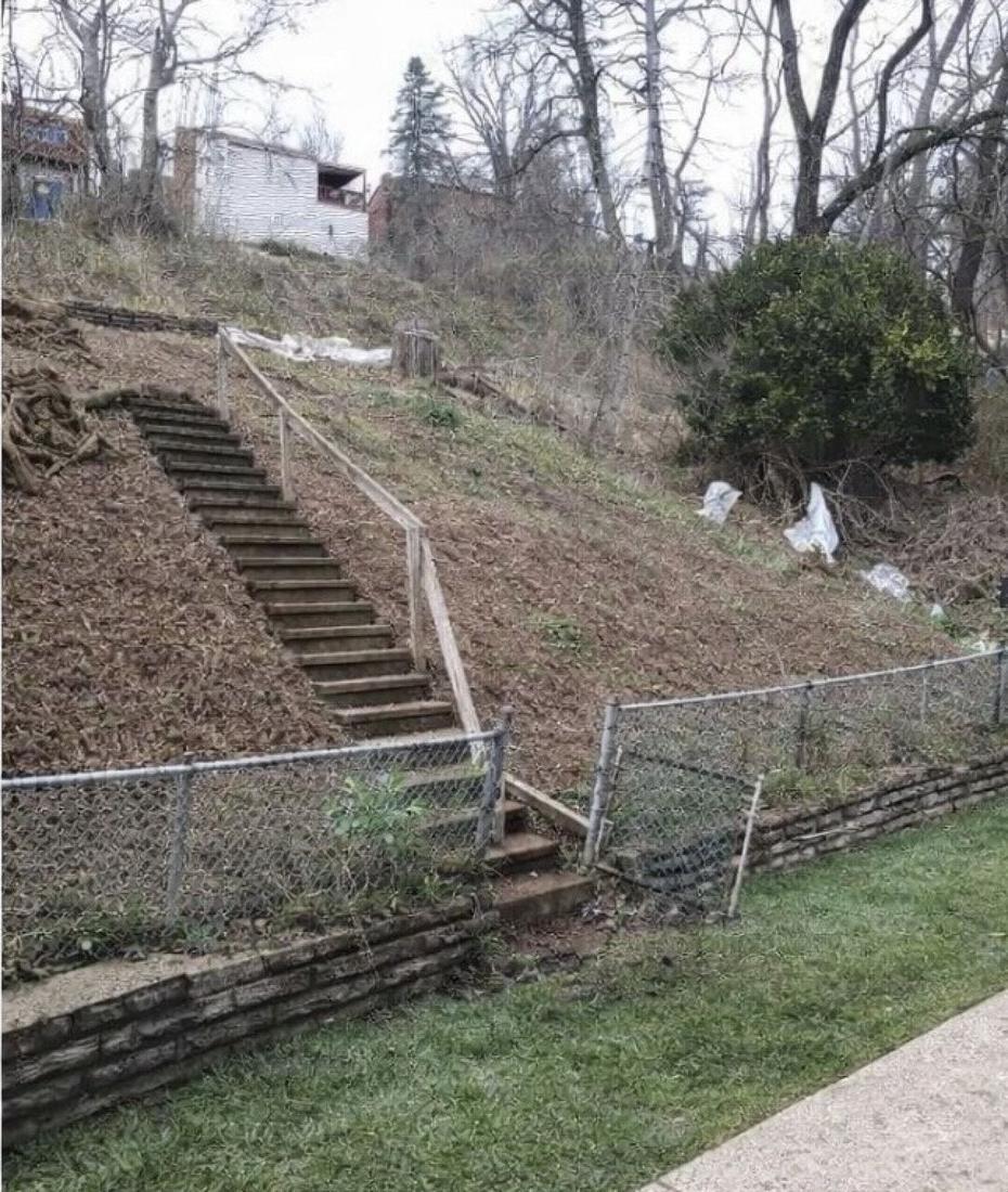 Cleared hillside with exposed wooden staircase and handrail