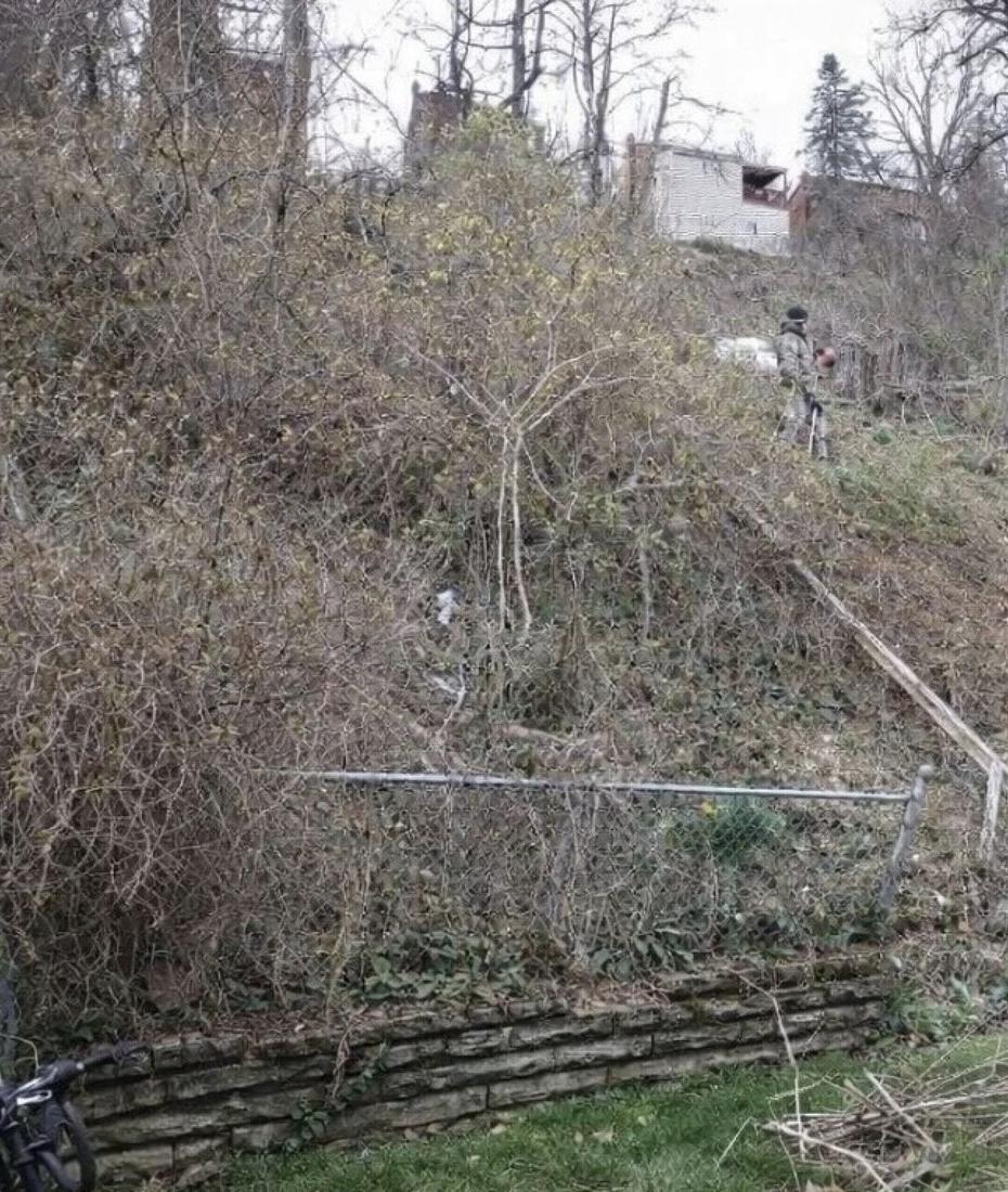 Steep hillside covered in brush and overgrowth