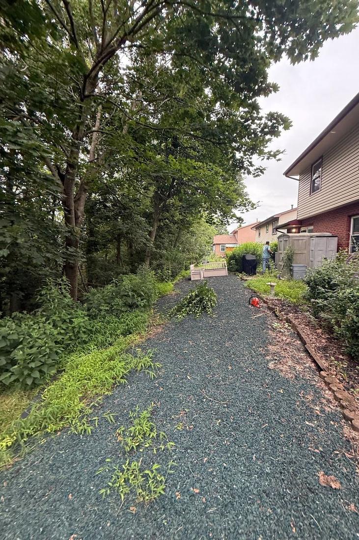 Narrow gravel side yard with encroaching brush and weeds