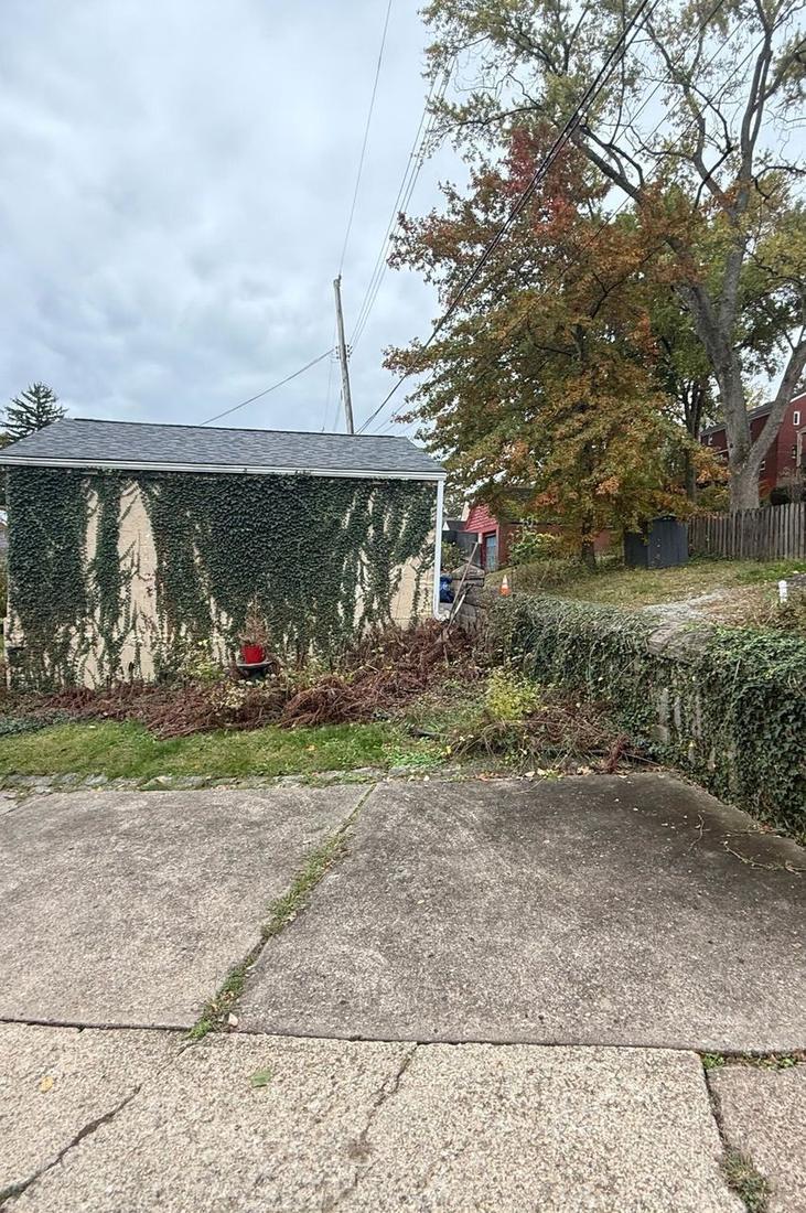Ivy covering a detached garage wall and retaining wall
