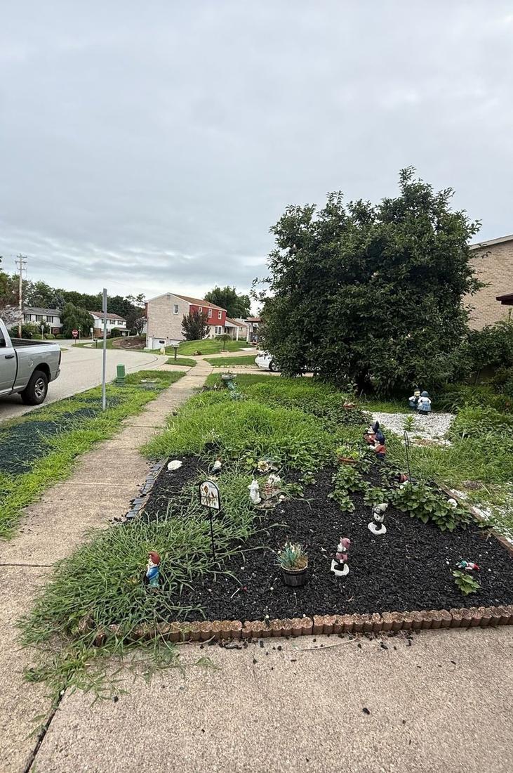 Weedy overgrown front bed along a sidewalk