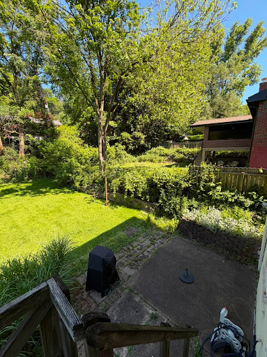 Sloped backyard with overgrown edges draining toward a brick patio