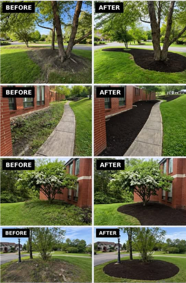 Four before-and-after pairs showing mulch beds cleaned out, re-edged and topped with fresh dark mulch